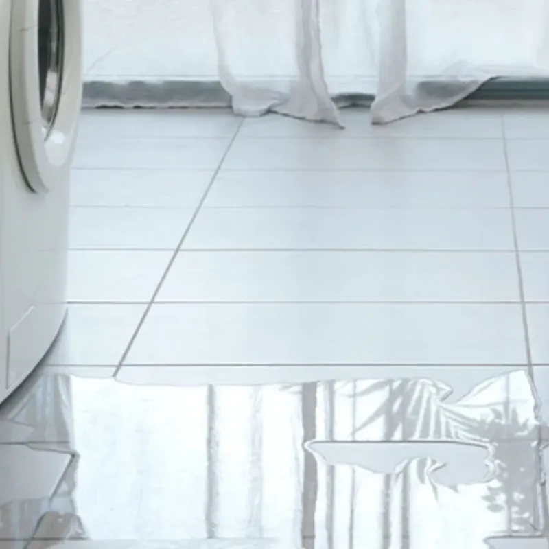 Appliance Leak Cleanup in Harrison County, IA