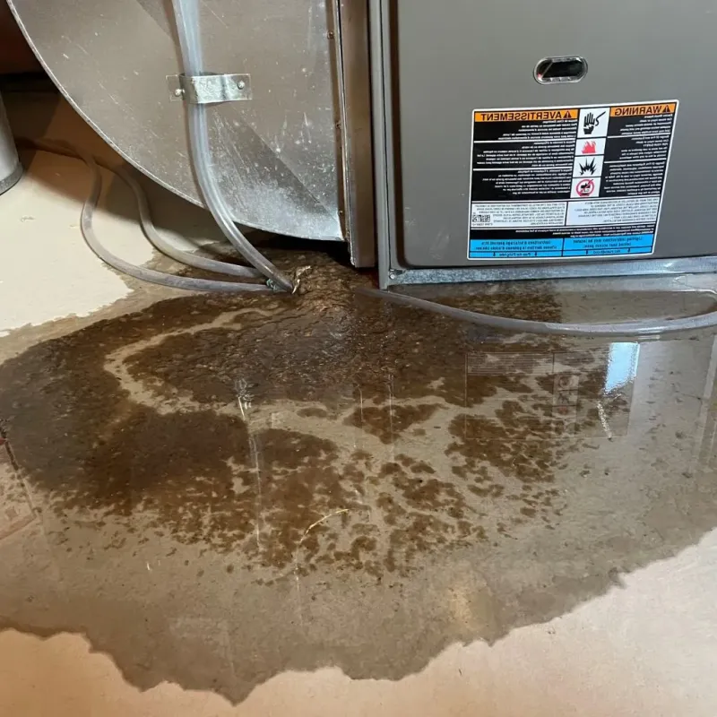 Pipe Burst and Leak Restoration in Harrison County, IA