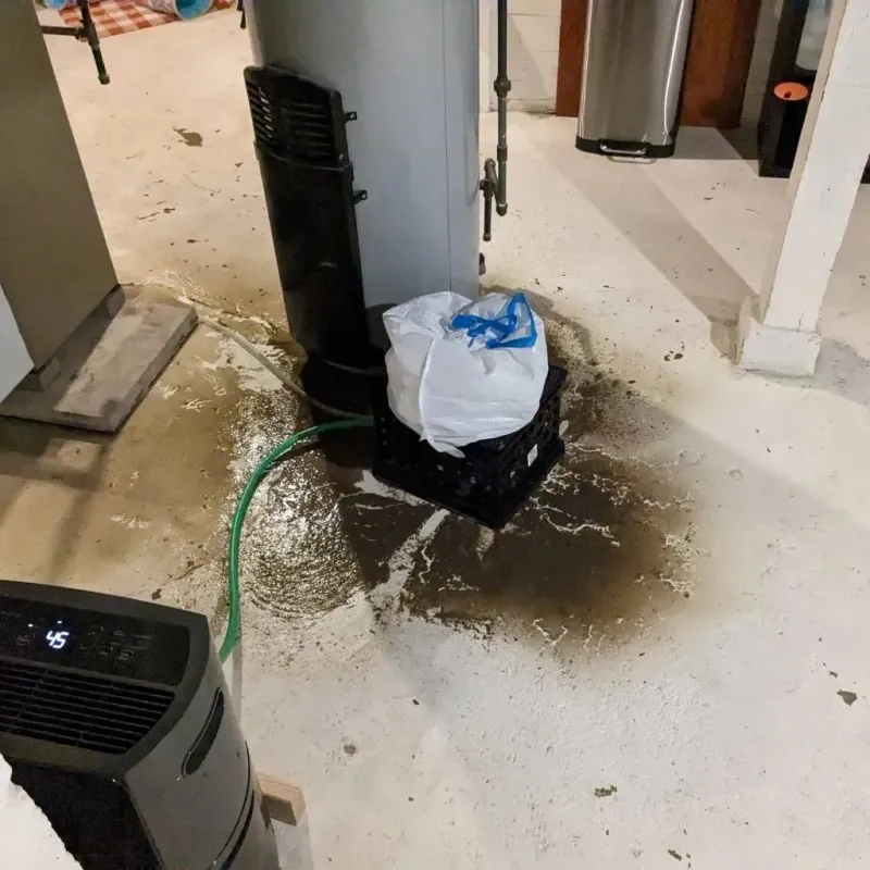 Sewage Backup Cleanup Service in Harrison County, IA